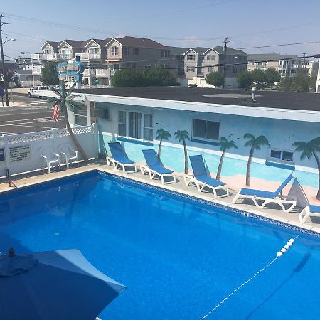 נורת' וויילדווד Surf Haven Motel מראה חיצוני תמונה